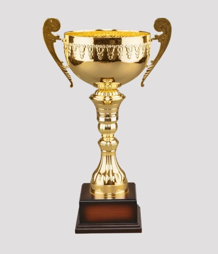 Chess Academy achievements