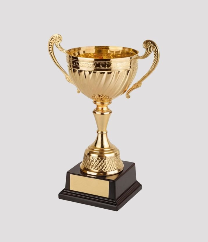 Chess Academy achievements