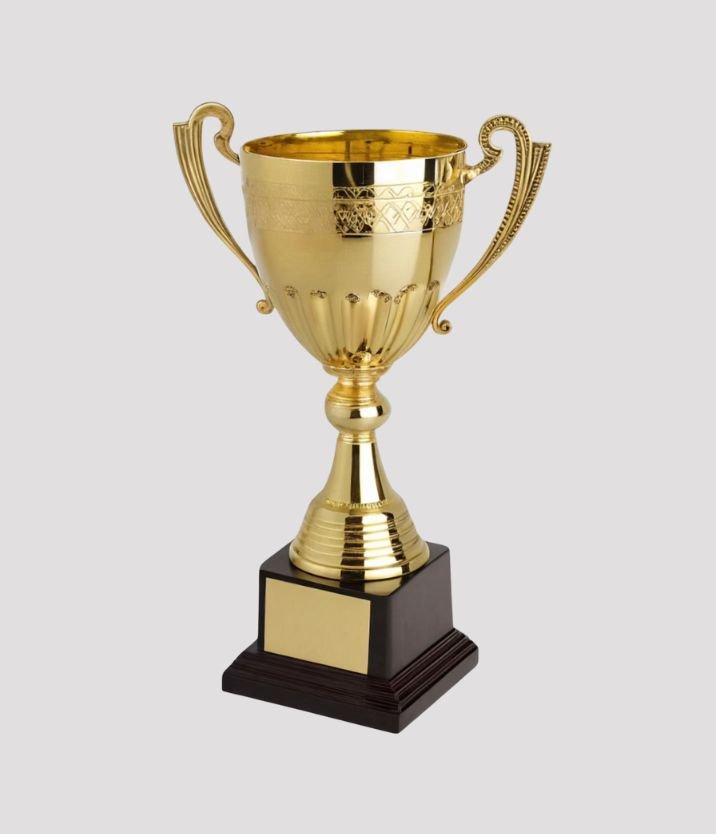 Chess Academy achievements
